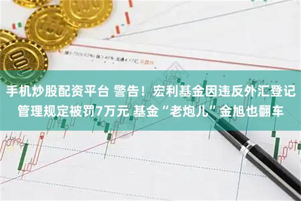 手机炒股配资平台 警告！宏利基金因违反外汇登记管理规定被罚7万元 基金“老炮儿”金旭也翻车
