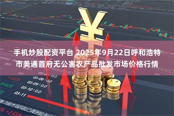 手机炒股配资平台 2025年9月22日呼和浩特市美通首府无公害农产品批发市场价格行情